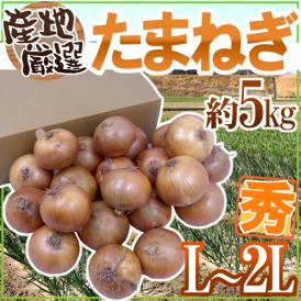 ”たまねぎ” 秀品 L/2Lサイズ 約5kg 九州・四国・淡路・北海道 産地厳選【予約 入荷次第発送】 送料無料