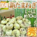 ”新たまねぎ” 秀品 L/2Lサイズ 約10kg 九州・四国・淡路・北海道 産地厳選【予約 3月下旬以降】 送料無料