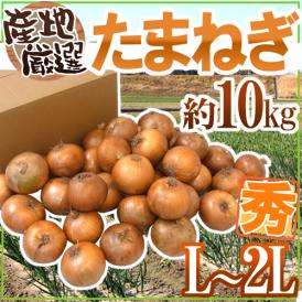 ”たまねぎ” 秀品 L/2Lサイズ 約10kg 九州・四国・淡路・北海道 産地厳選【予約 入荷次第発送】 送料無料