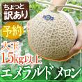 ”高知県夜須産 エメラルドメロン” ちょっと訳あり 大玉 約1.5kg以上【予約 入荷次第発送】 送料無料
