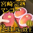 ”宮崎完熟マンゴー” 秀品 4Lサイズ 2玉 1.2kg以上 化粧箱入り 宮崎マンゴー【予約 4月以降】 送料無料
