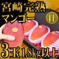 ”宮崎完熟マンゴー” 秀品 4Lサイズ 3玉 1.8kg以上 化粧箱入り 宮崎マンゴー【予約 4月以降】 送料無料