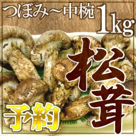 ”中国産 松茸” 約1kg つぼみ〜中椀 大きさおまかせ【予約 7月下旬〜12月上旬】 送料無料