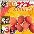 ”宮崎マンゴー” 訳あり 6～12玉前後 約3kg【予約 5月下旬～6月以降】 送料無料