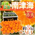 愛媛・広島 ”南津海みかん（なつみみかん）” 赤秀品 S/M/Lサイズ 約5kg【予約 4月下旬以降】 送料無料