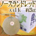 北海道メロン JAとままえ産 ”ノースランドレッド” 等級 北 1玉 約2kg 化粧箱【予約 7月下旬以降】 送料無料