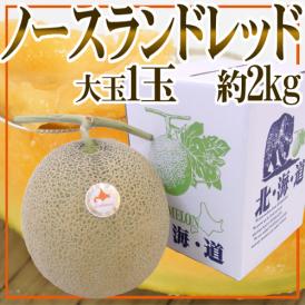 北海道メロン JAとままえ産 ”ノースランドレッド” 等級 北 1玉 約2kg 化粧箱【予約 7月下旬以降】 送料無料