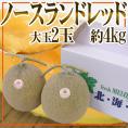 北海道メロン JAとままえ産 ”ノースランドレッド” 等級 北 2玉 約4kg 化粧箱【予約 7月下旬以降】 送料無料