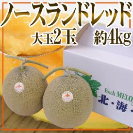 北海道メロン JAとままえ産 ”ノースランドレッド” 等級 北 2玉 約4kg 化粧箱【予約 7月下旬以降】 送料無料