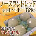 北海道 JAとままえ産 ”ノースランドレッド” 4～5玉 約8kg 最高等級「ロイヤル」【予約 7月下旬以降】 送料無料