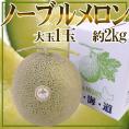 北海道メロン JAとままえ産 ”ノーブルメロン” 等級 北 1玉 約2kg 化粧箱【予約 7月下旬以降】 送料無料