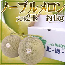 北海道メロン JAとままえ産 ”ノーブルメロン” 等級 北 2玉 約4kg 化粧箱【予約 7月下旬以降】 送料無料