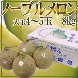 北海道メロン JAとままえ産 ”ノーブルメロン” 等級 北 4～5玉 約8kg【予約 7月下旬以降】 送料無料