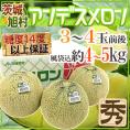 JA茨城旭村 ”アンデスメロン” 秀品 3～4玉 風袋込約4～5kg【予約 5月末以降】 送料無料