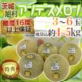 JA茨城旭村 ”アンデスメロン” 特秀品 3～6玉 風袋込約4～5kg【予約 5月末以降】 送料無料