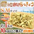 土らっきょう ”鳥取産 砂丘らっきょう” 秀品 S/Mサイズ 約1kg《10キロ購入で送料無料》【予約 5月末以降】