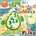 徳島 鳴門産 ”洗いらっきょう” 秀品 S/Mサイズ 約1kg《5キロ購入で送料無料》【予約 5月下旬以降】