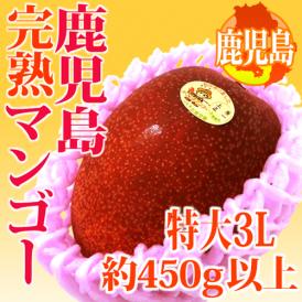 完熟した甘い香りと濃厚な味わい！鹿児島マンゴー♪