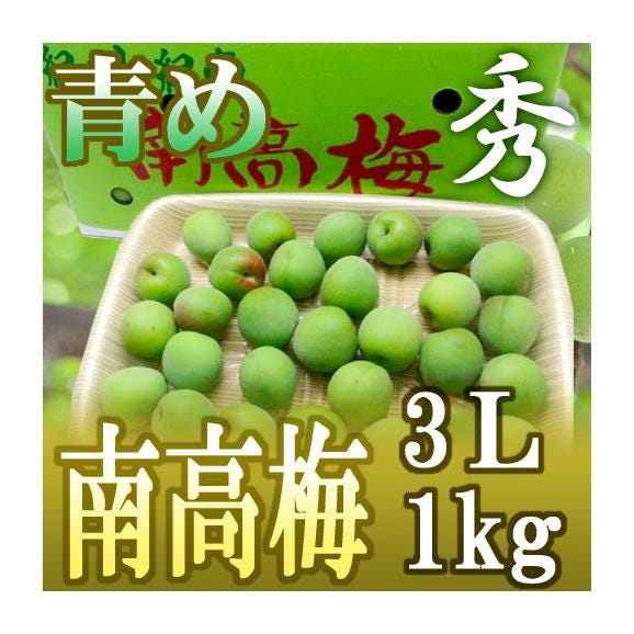 紀州・和歌山産 南高梅 青梅” 秀品 3Lサイズ 約1kg《10キロ購入