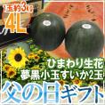 父の日ギフト ”夢黒小玉すいか” 秀・優品 2玉 約6kg+ひまわり生花1本【予約 6月14~21日お届け予定】 送料無料