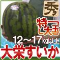 鳥取県 ”ジャンボ大栄すいか” 秀品 特大6L 約12kg以上 大栄西瓜【予約 6月以降】 送料無料