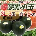 熊本県 黒皮すいか ”夢黒小玉” 秀・優品 3L 3玉 約7.5kg【予約 5月下旬以降】 送料無料