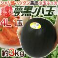 熊本県 黒皮すいか ”夢黒小玉” 秀・優品 4L 1玉 約3kg【予約 5月下旬以降】 送料無料