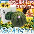 父の日ギフト ジャンボ ”熊本すいか” 秀品 1玉 約9~10kg+ひまわり生花2本【予約 6月14~21日お届け予定】 送料無料