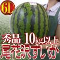 山形県産 ”尾花沢スイカ” 6Lサイズ 1玉約10kg以上 等級A（秀品）【予約 7月下旬以降】 送料無料