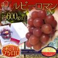 石川産 ”ルビーロマン” 1房 約600g以上【予約 8月以降】 送料無料