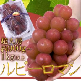 石川産 ”ルビーロマン” 超大房 1房 約900g～1kg【予約 8月以降】 送料無料