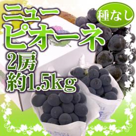 岡山産 種なしぶどう ”ニューピオーネ” 秀品 特大2房 約1.5kg【予約 7月下旬以降】 送料無料