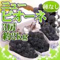 岡山産 種なしぶどう ”ニューピオーネ” 秀品 3房 約2kg【予約 7月下旬以降】 送料無料