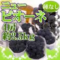 岡山産 種なしぶどう ”ニューピオーネ” 秀品 4房 約2.5kg【予約 7月下旬以降】 送料無料