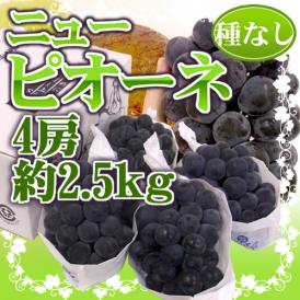 岡山産 種なしぶどう ”ニューピオーネ” 秀品 4房 約2.5kg【予約 7月下旬以降】 送料無料