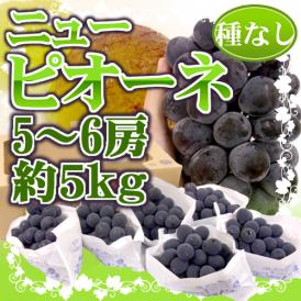 岡山産 種なし ”ニューピオーネ” 秀品 特大5～6房 約5kg【予約 7月下旬以降】 送料無料