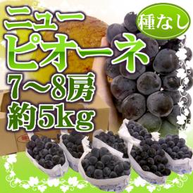 岡山産 種なしぶどう ”ニューピオーネ” 秀品 特大7～8房 約5kg【予約 7月下旬以降】 送料無料