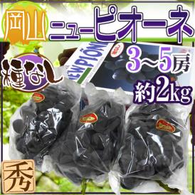 岡山産 種なしぶどう ”ニューピオーネ” 秀品 3〜5房 約2kg 化粧箱 種なしピオーネ【予約 7月中旬以降】 送料無料