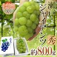 岡山産 ”瀬戸ジャイアンツ” 秀品 大房 約800g以上 化粧箱 ぶどう【予約 9月以降】 送料無料