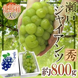 岡山産 ”瀬戸ジャイアンツ” 秀品 大房 約800g以上 化粧箱 ぶどう【予約 9月以降】 送料無料