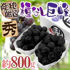 ”種なし巨峰” 秀品 約800g 化粧箱 産地厳選 ぶどう【予約 7月以降】 送料無料