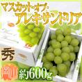 岡山産 ”マスカット・オブ・アレキサンドリア” 約600g 1房 化粧箱 ぶどう【予約 7月以降】 送料無料