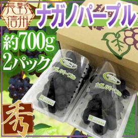 長野産 ”ナガノパープル” 秀品 2pc 約700g パック入り ぶどう【予約 8月末以降】 送料無料