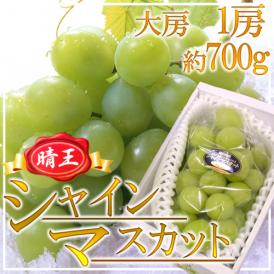 岡山産 ”シャインマスカット「晴王」” 大房 1房 約700g 化粧箱 ぶどう【予約 7月下旬以降】 送料無料