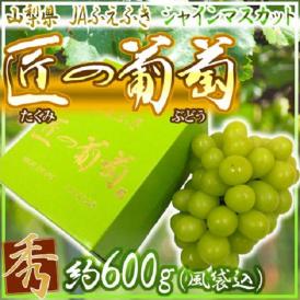 山梨産 ”シャインマスカット「匠の葡萄」” 大房約600g 1房 化粧箱 ぶどう【予約 7月以降】 送料無料