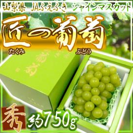 山梨産 ”シャインマスカット「匠の葡萄」” 超大房約750g 1房 化粧箱 ぶどう【予約 7月以降】 送料無料