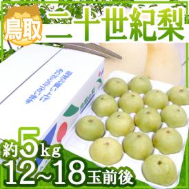 鳥取産 ”二十世紀梨” 大玉12～18玉 約5kg 産地箱【予約 8月末以降】 送料無料