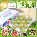 鳥取産 ”二十世紀梨” 秀品 大玉12～18玉 約5kg【予約 8月末以降】 送料無料