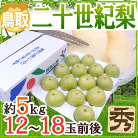鳥取産 ”二十世紀梨” 秀品 大玉12～18玉 約5kg【予約 8月末以降】 送料無料