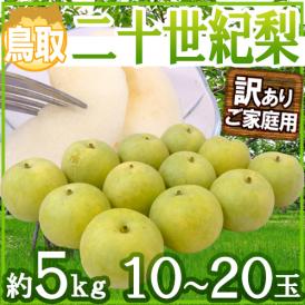 鳥取産 ”二十世紀梨” 訳あり 10～20玉 約5kg【予約 8月末以降】 送料無料